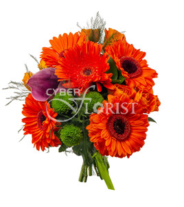 bouquet of gerberas and calla lilies